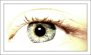 eye-276806__180